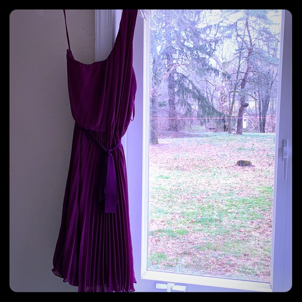 The Limited Cocktail Dress 💜